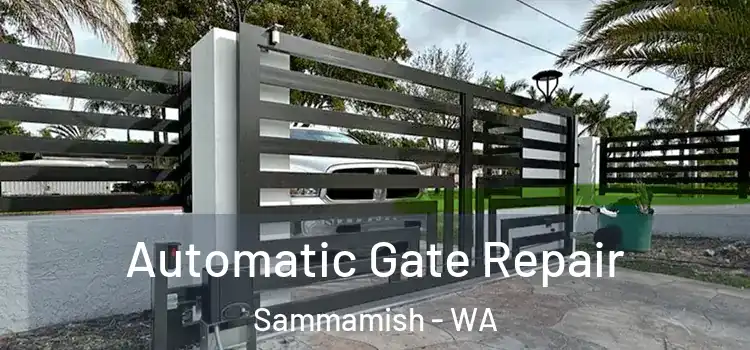 Automatic Gate Repair Sammamish - WA