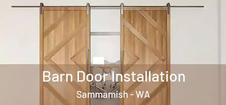  Barn Door Installation Sammamish - WA
