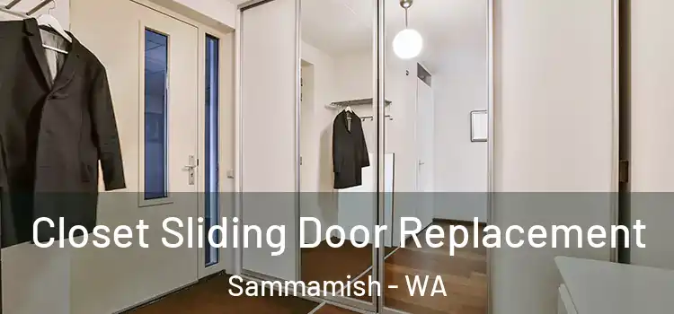  Closet Sliding Door Replacement Sammamish - WA