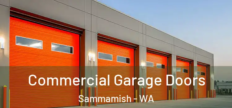  Commercial Garage Doors Sammamish - WA