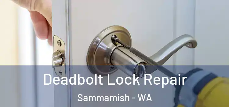  Deadbolt Lock Repair Sammamish - WA