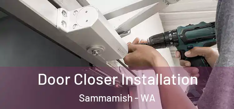  Door Closer Installation Sammamish - WA