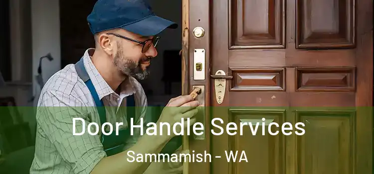 Door Handle Services Sammamish - WA