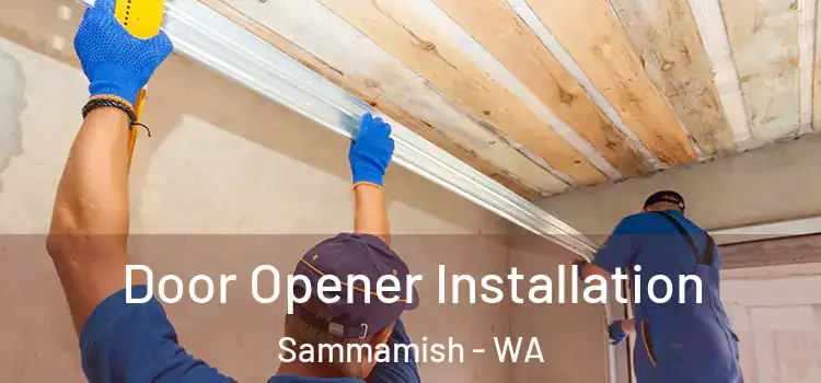  Door Opener Installation Sammamish - WA
