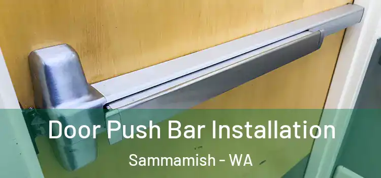  Door Push Bar Installation Sammamish - WA