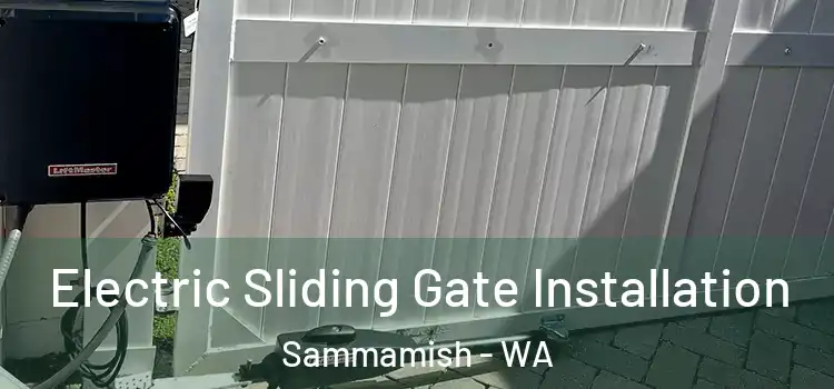  Electric Sliding Gate Installation Sammamish - WA