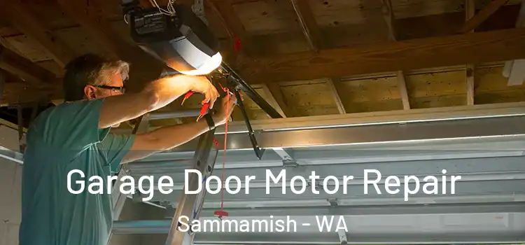  Garage Door Motor Repair Sammamish - WA