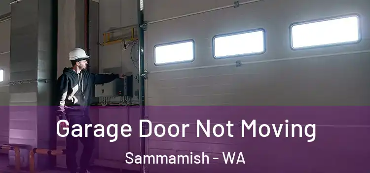  Garage Door Not Moving Sammamish - WA