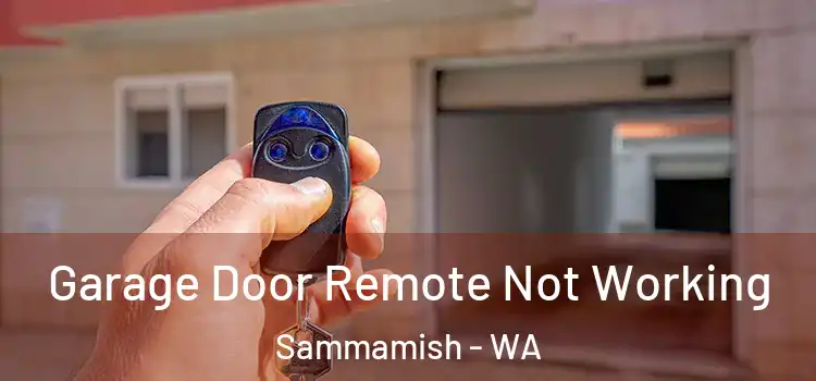  Garage Door Remote Not Working Sammamish - WA