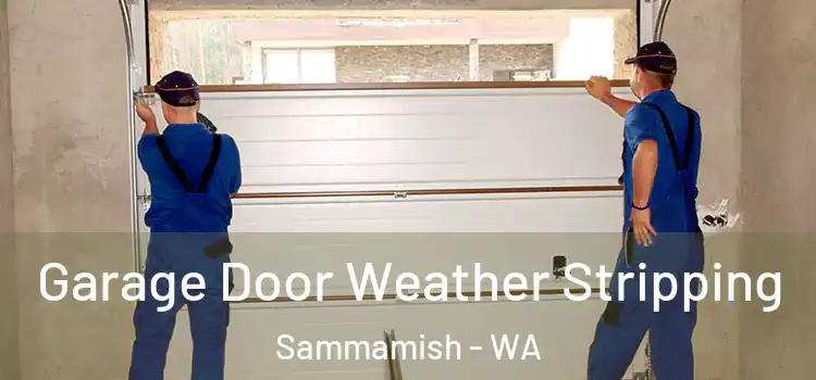  Garage Door Weather Stripping Sammamish - WA