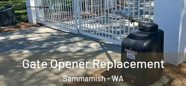 Gate Opener Replacement Sammamish - WA