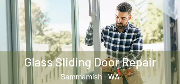Glass Sliding Door Repair Sammamish - WA