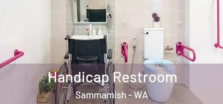 Handicap Restroom Sammamish - WA