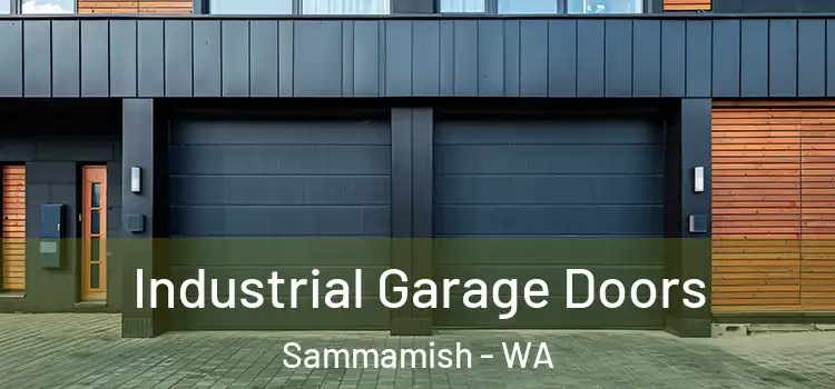  Industrial Garage Doors Sammamish - WA
