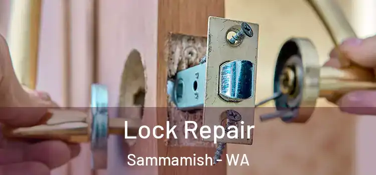  Lock Repair Sammamish - WA