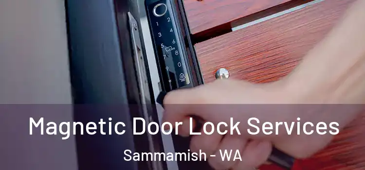  Magnetic Door Lock Services Sammamish - WA