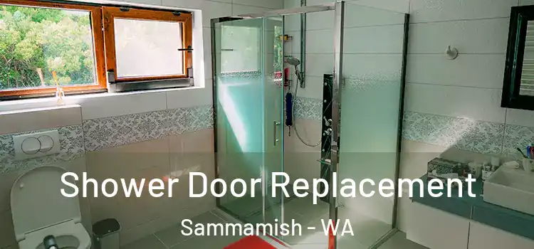 Shower Door Replacement Sammamish - WA