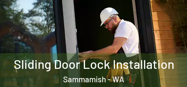  Sliding Door Lock Installation Sammamish - WA