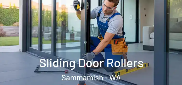 Sliding Door Rollers Sammamish - WA