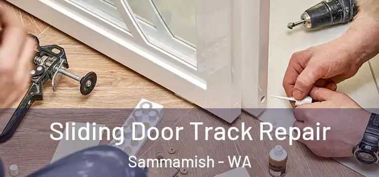 Sliding Door Track Repair Sammamish - WA