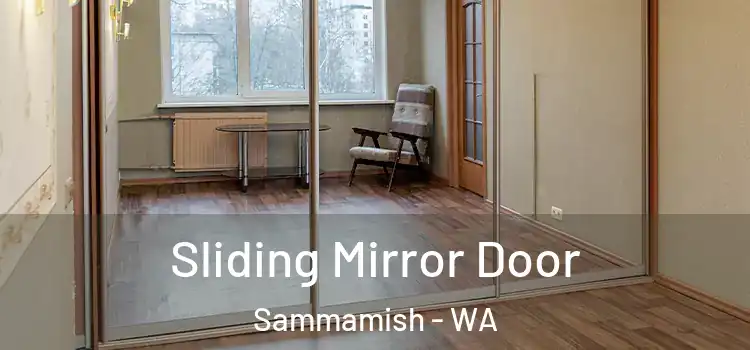  Sliding Mirror Door Sammamish - WA