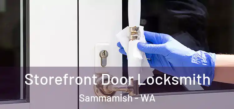  Storefront Door Locksmith Sammamish - WA